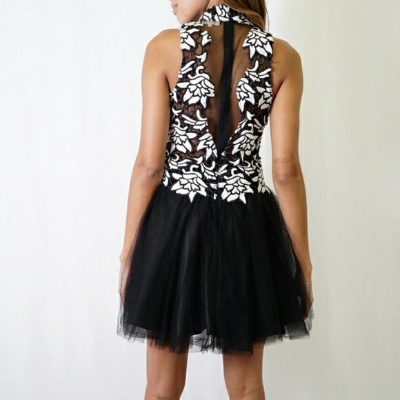 (New With Tags) Romantic Tulle Skirt Dress (S) - Picture 2 of 3